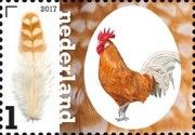 The Friesian Fowl