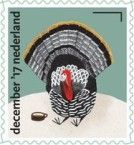 Live turkey