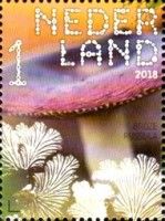Brittle Russula (Russula fragilis)