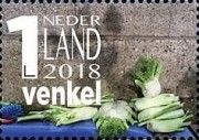 Fennel