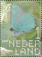 Green Hairstreak (Callophrys rubi)