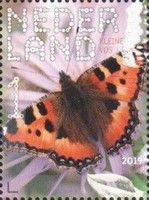 Small Tortoiseshell (Aglais urticae)