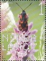 Six-spot Burnet (Zygaena filipendulae)
