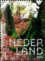 The Old Forest