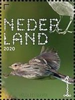 Eurasian Skylark (Alauda arvensis)