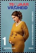Pregnant Woman in 2020