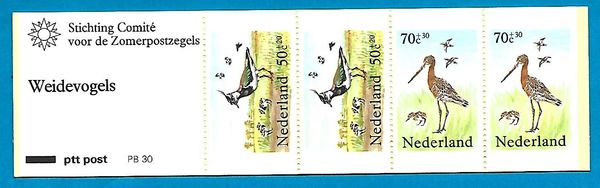 Northern Lapwing (Vanellus vanellus), Black-tailed Godwit (L