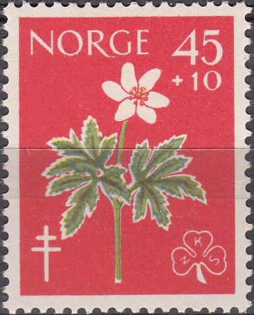 Tuberculosis Relief Fund- Flowers