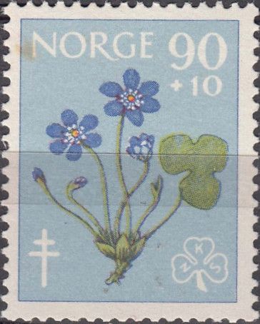 Tuberculosis Relief Fund- Flowers