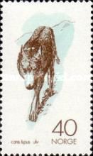 Wolf (Canis lupus)
