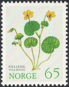 Yellow Wood Violet (Viola biflora)