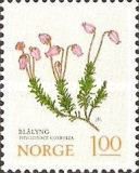 Mountain Heath (Phyllodoce caerulea)