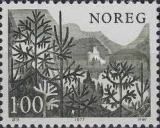 Norway spruce (Picea abies)