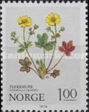 Alpine Cinquefoil (Potentilla crantzii)