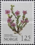 Purple Saxifrage (Saxifraga oppositifolia)