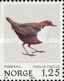 (White-throated) Dipper (Cinclus cinclus)
