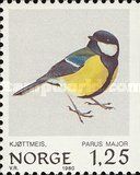 Great Tit (Parus major)