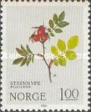 Dog Rose (Rosa canina)