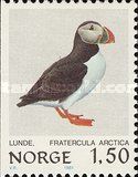 Atlantic Puffin (Fratercula arctica)