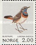 Bluethroat (Luscinia svecica svecica)