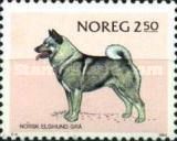 Norsk elghund grå - Norwegian Elkhound