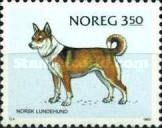 Norsk Lundehund - Hunting Dog