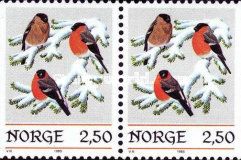 Eurasian Bullfinch (Pyrrhula pyrrhula)