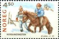 Northlands horse