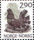 Western Capercaillie (Tetrao urogallus)