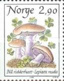 True Blewit (Lepista nuda)