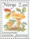 False Saffron Milk-cap (Lactarius deterrimus)
