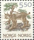 Lynx (Lynx lynx)
