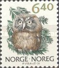 Tengmalm's Owl (Aegolius funereus)