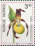 Cypripedium calceolus - Lady's-slipper Orchid