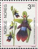 Ophrys insectifera - Fly Orchid