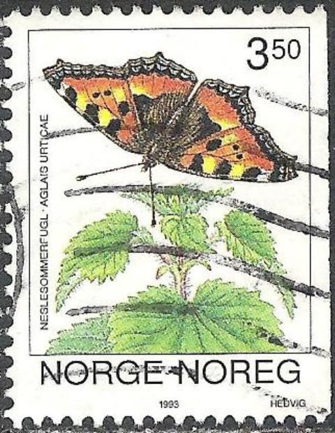 Small Tortoiseshell (Aglais urticae)