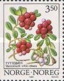 Cowberry (Vaccinium vitis-idaea)