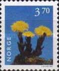 Coltsfoot (Tussilago farfara)