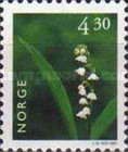Lily of the Valley (Convallaria majalis)