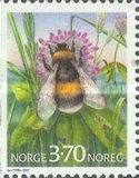 Bumblebee (Bombus sp.)