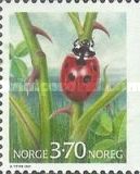 Seven-spot Ladybird (Coccinella septempunctata)