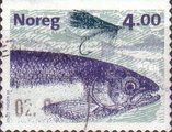 Atlantic Salmon (Salmo salar)