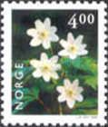 European Wood Anemone (Anemone nemorosa)