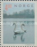 Swans on lake