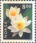 White Water-lily (Nymphaea alba)