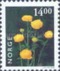 Globe Flower (Trollius europaeus)
