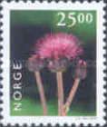 Thistle (Cirsium sp.)