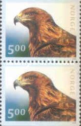 Golden Eagle (Aquila chrysaetos)