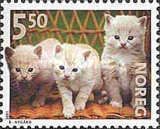 Kittens