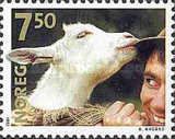 Goat